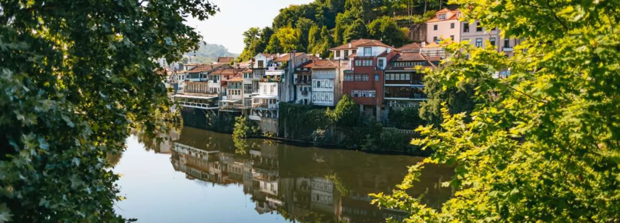 Vale do Douro Tour de vinhos com almoco degustacoes e cruzeiro pelo rio